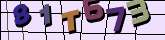 Chuck Norris has counted to infinity. Twice.